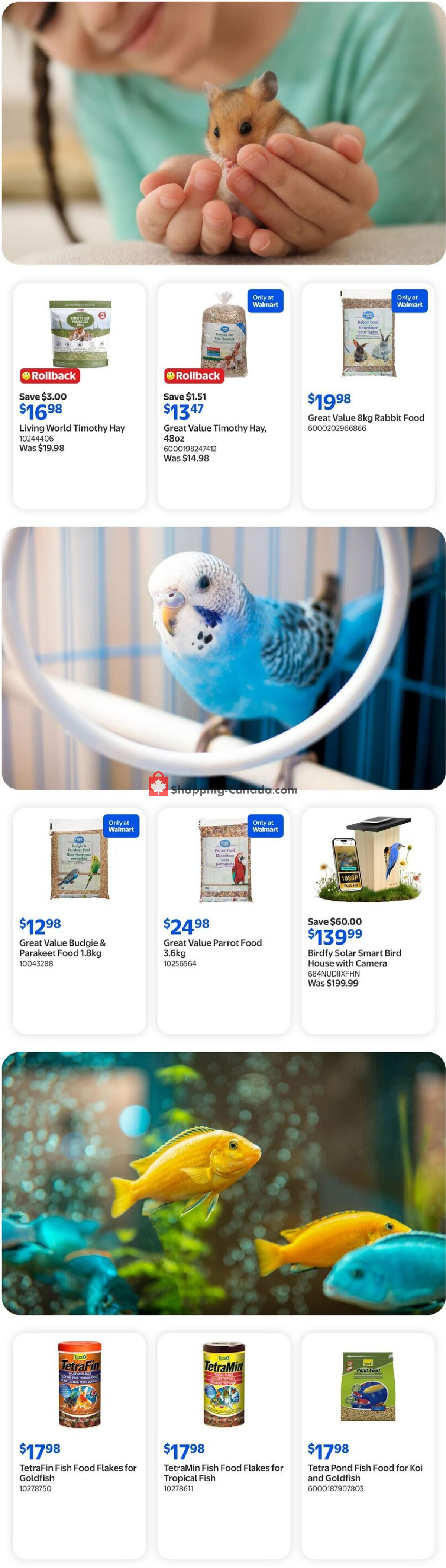 Walmart flyer from Thursday August 20, 2026 to Wednesday August 26, 2026 - page 11