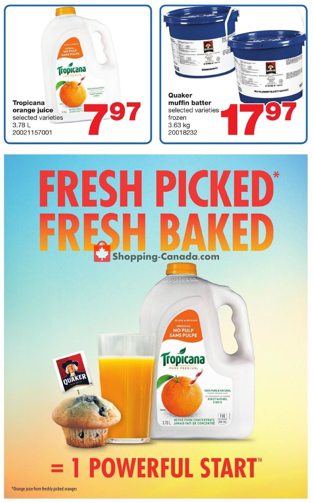 Wholesale Club flyer from Thursday February 28, 2019 to Wednesday March 6, 2019 - page 21