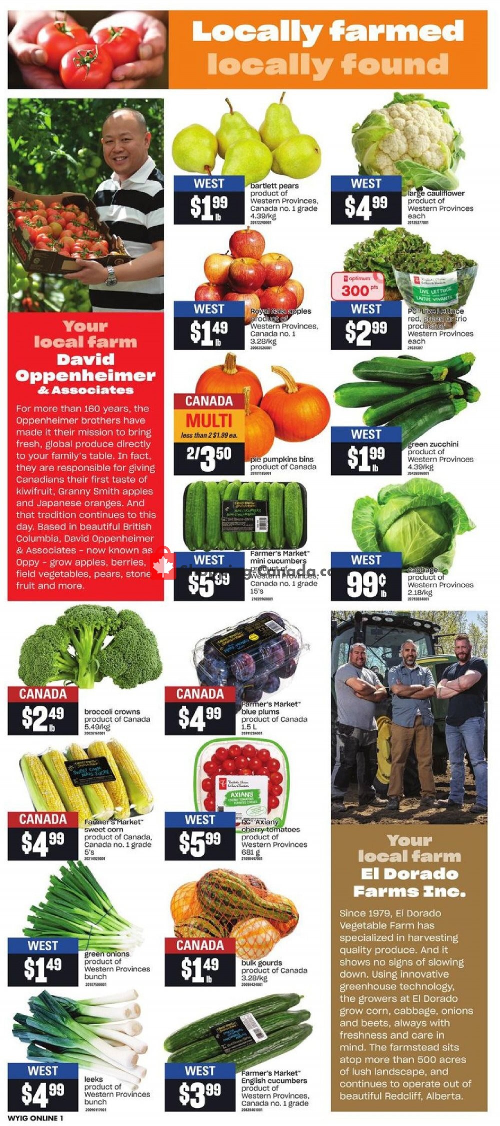 Your Independent Grocer flyer from Thursday September 10, 2020 to Wednesday September 16, 2020 - page 6