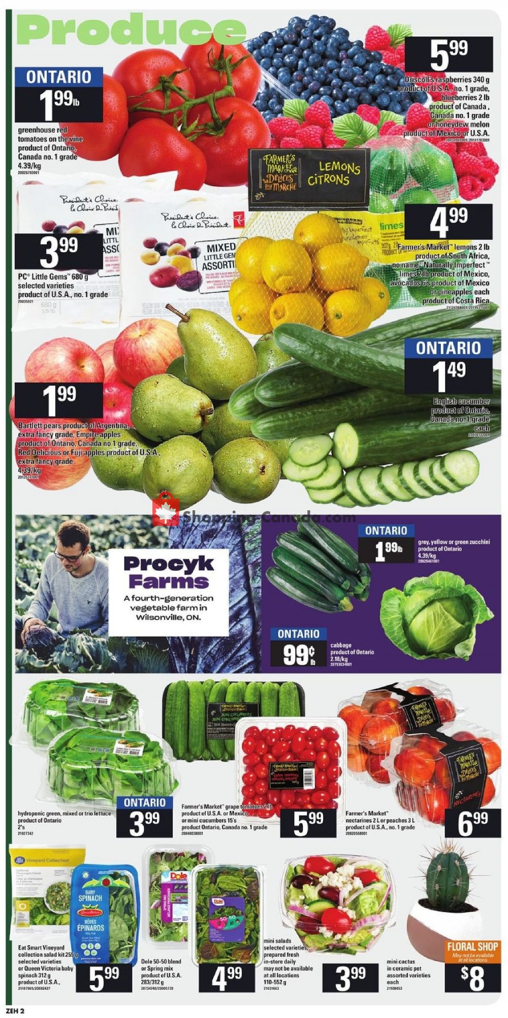 Zehrs flyer from Thursday July 11, 2019 to Wednesday July 17, 2019 - page 4